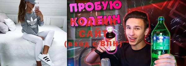 СК Касимов