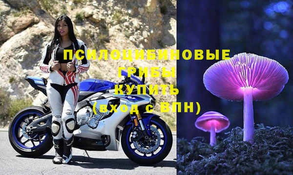 СК Касимов