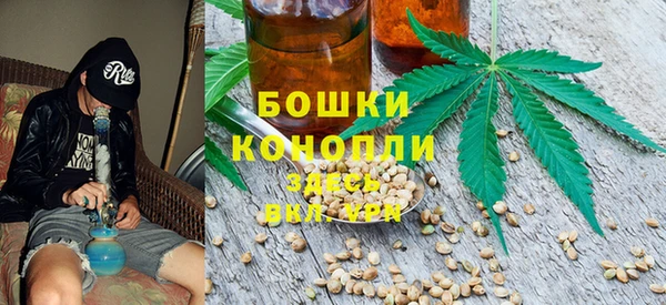 СК Касимов