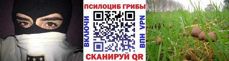 Псилоцибиновые грибы MAGIC MUSHROOMS  Красноперекопск 